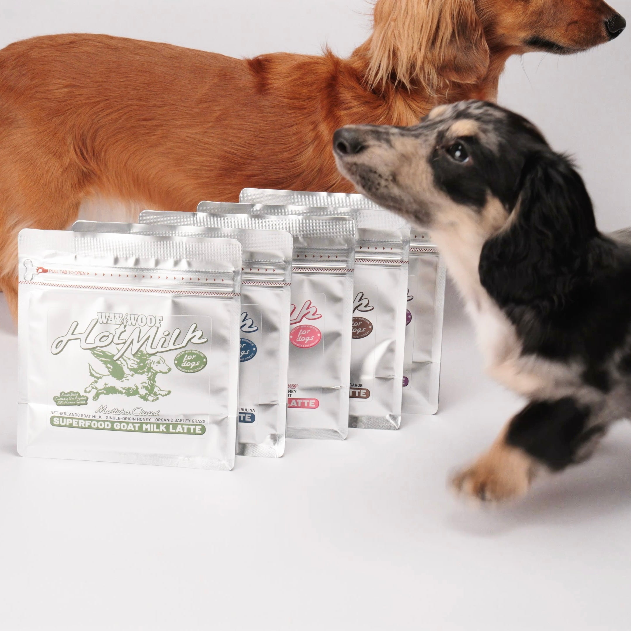 DISCOVERY SETS • Bundle & Save ✧˖°.