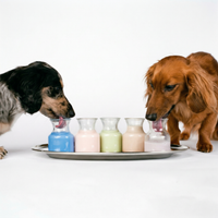 how to serve : hot milk