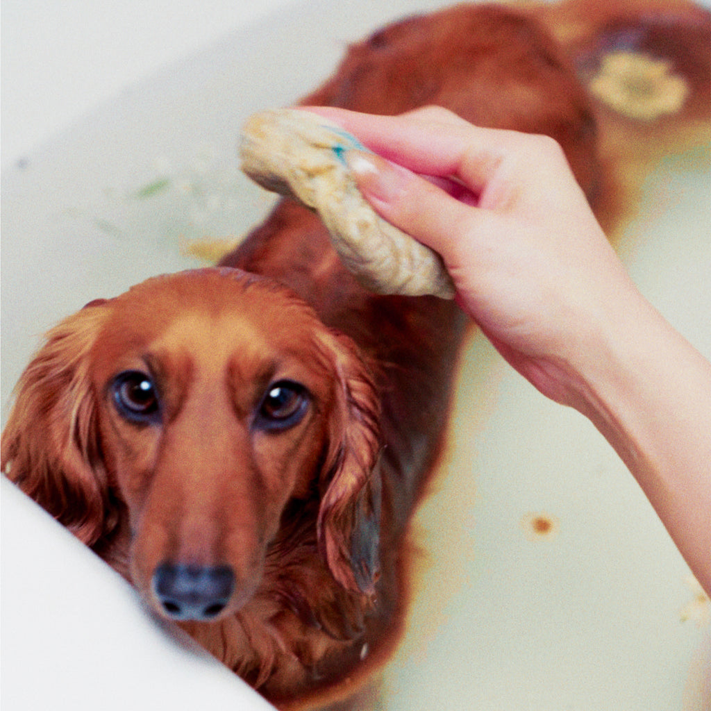 [MUD]: nourish + rejuvenate