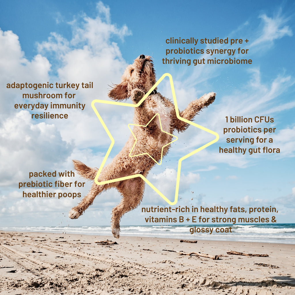 Dogs Love Peanut Butter · Probiotic Gut Support