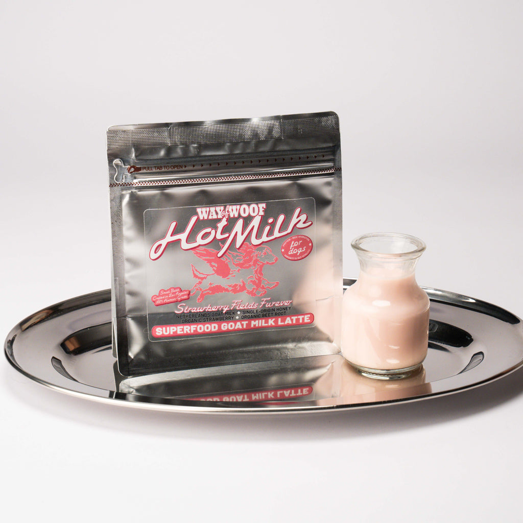 Foil bag of "Hot Milk" powder blend on a plate with a small glass bottle of the product mixed with water.