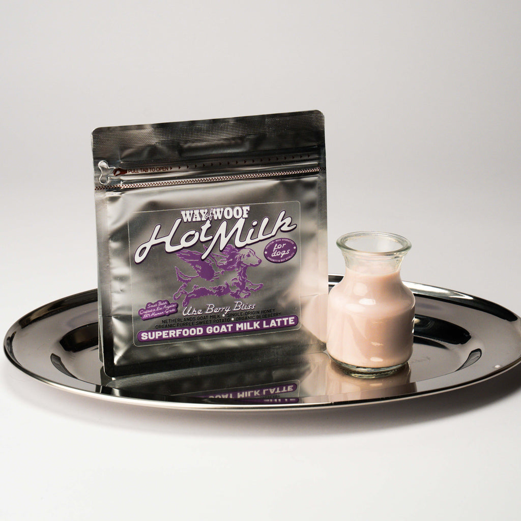 Foil bag of "Hot Milk" powder blend on a plate with a small glass bottle of the product mixed with water.