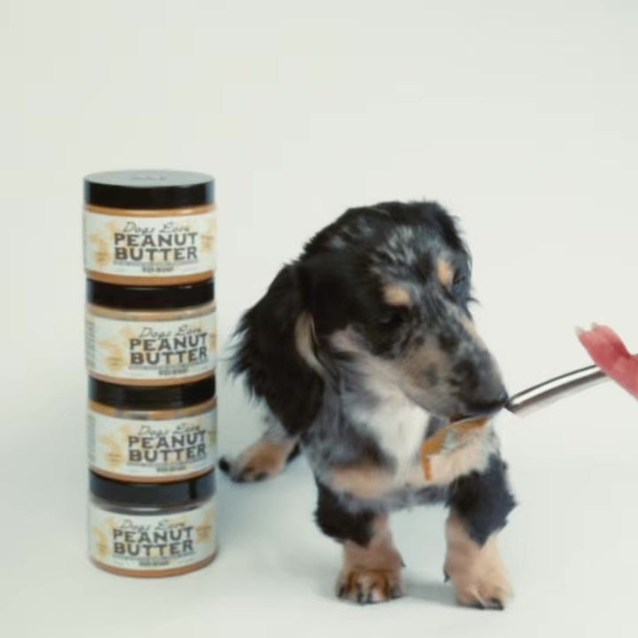 dashund puppy licking peanut butter from a spoon next to jars of peanut butter called Dogs Love Peanut Butter